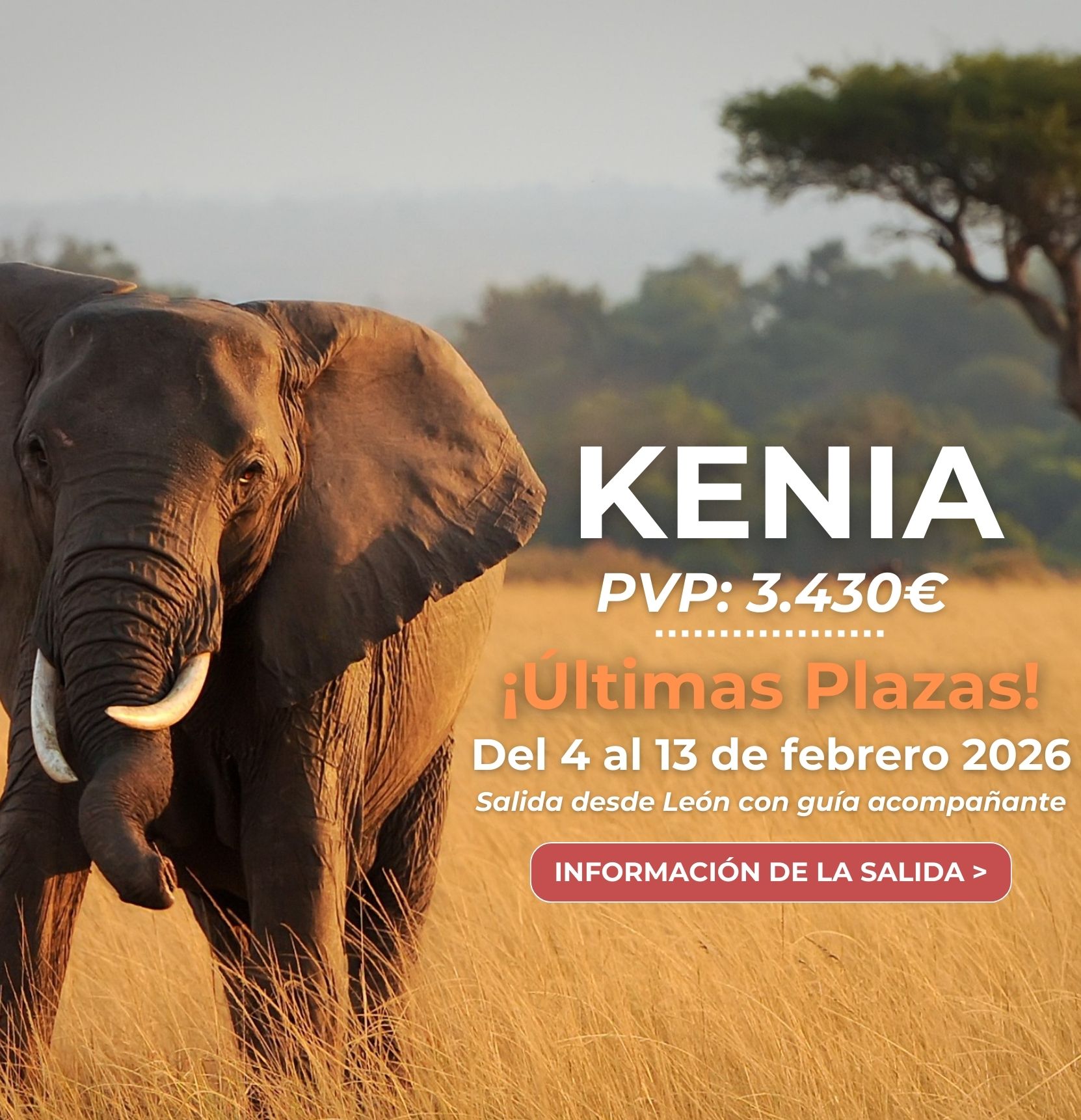 Kenia Desde León Febrero Mobile Slider  Multidestinos